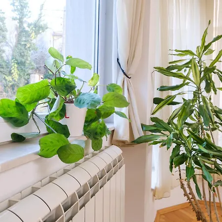 The Hill House Free Parking プロヴディフ