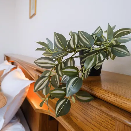 The Hill House Free Parking Hébergement de vacances