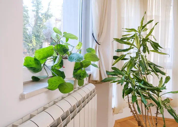 The Hill House Free Parking 普罗夫迪夫