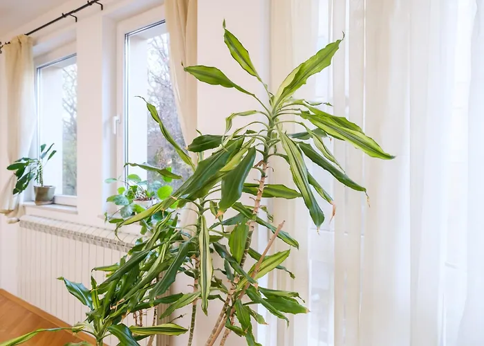 The Hill House Free Parking * Plovdiv